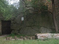 P7191341