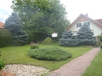 P7201353