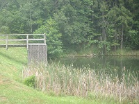 P7151212