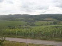 P7151220