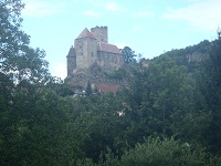 P7161239