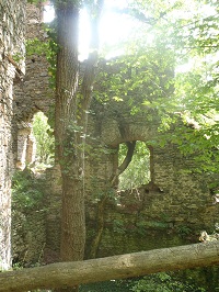 P7191315