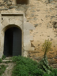 P7191331