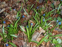 P3310857